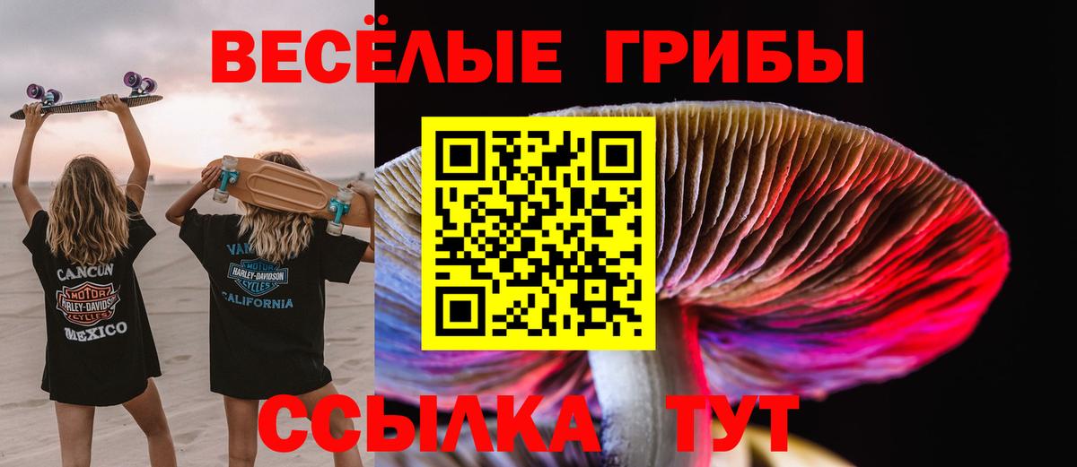 как найти закладки  Вход с VPN  Корсаков  Галлюциногенные грибы Psilocybe 